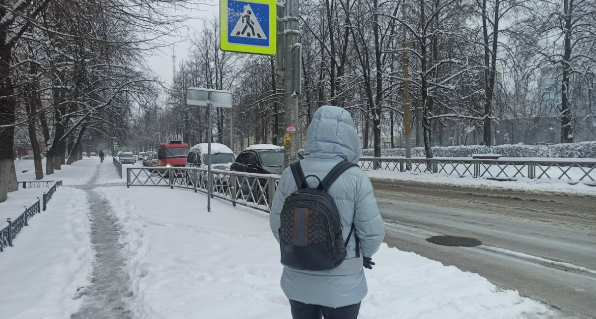    Прогород
