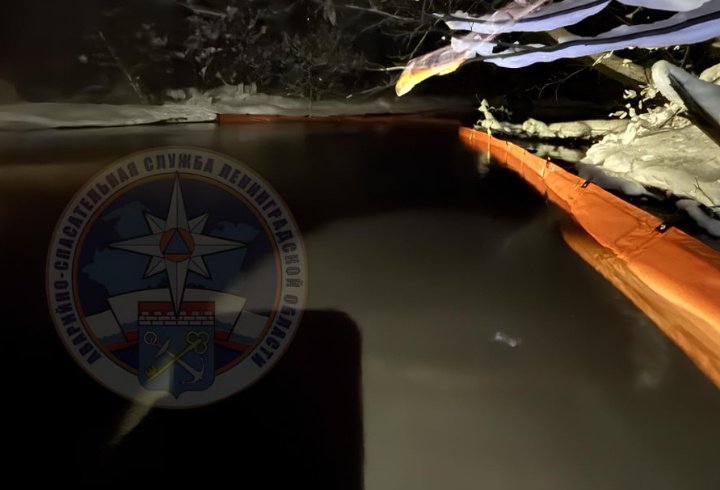 фото: t.me/acclenobl