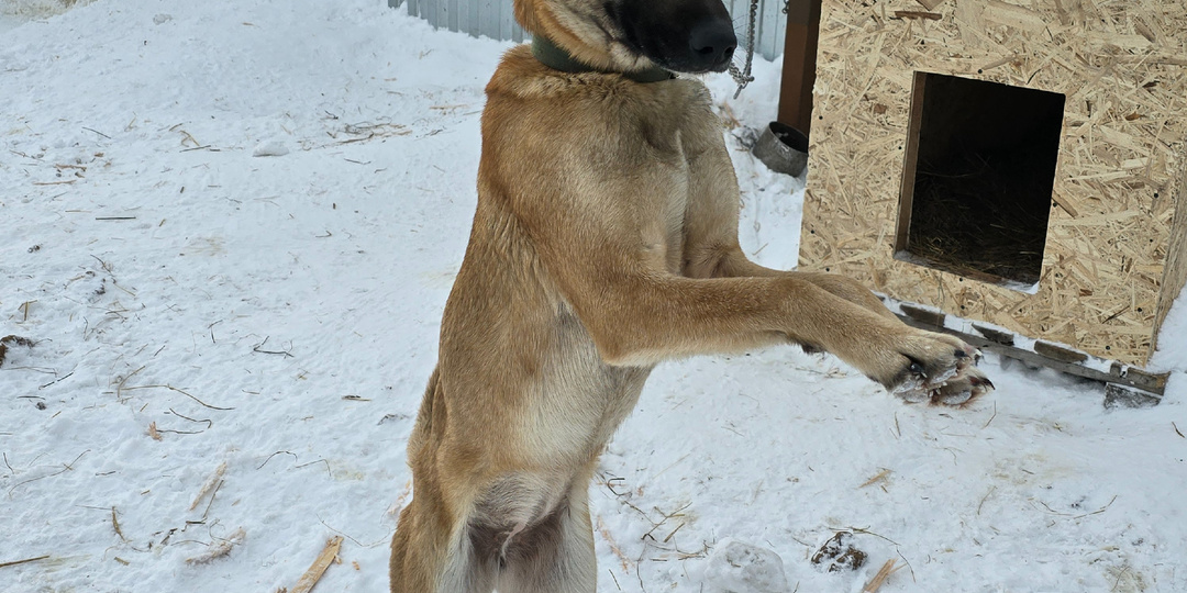 Они смотрят в небо. Ждут