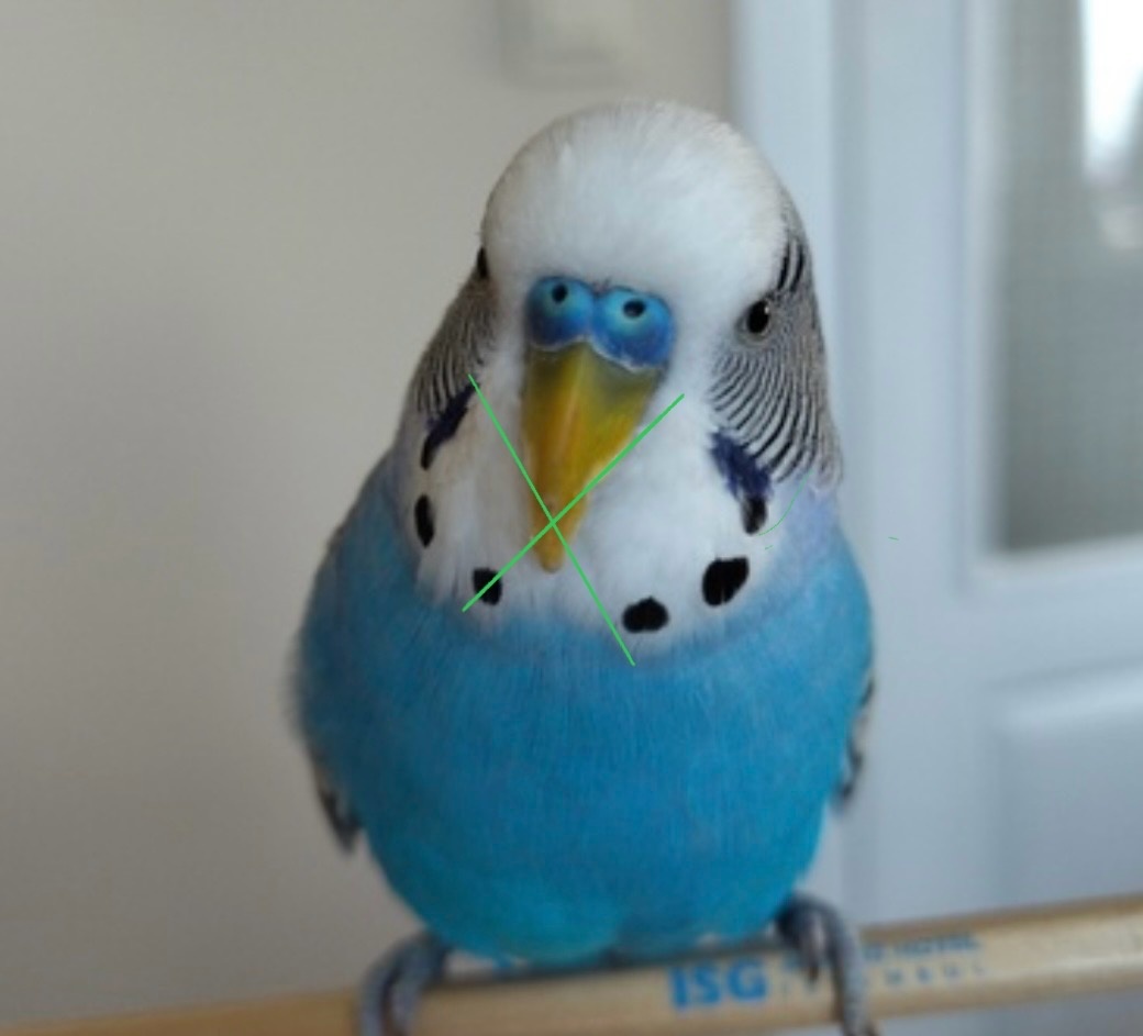 Вот под таким углом  нужно выполнять  срез