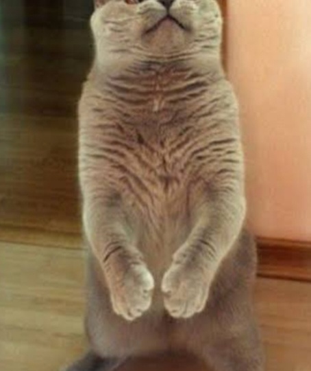 Разлука, ты разлука...