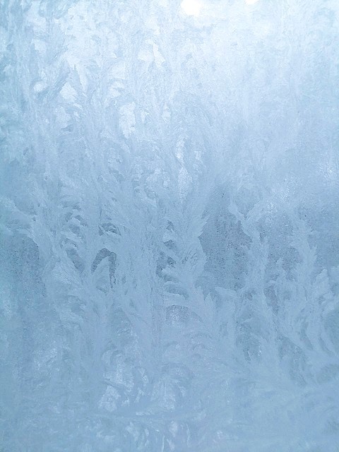  Фото автора. 