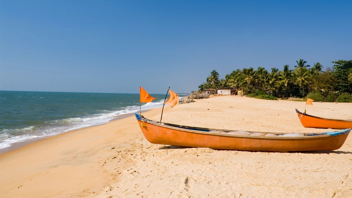    Фото: Mikhail Nekrasov/Shutterstock/Fotodom