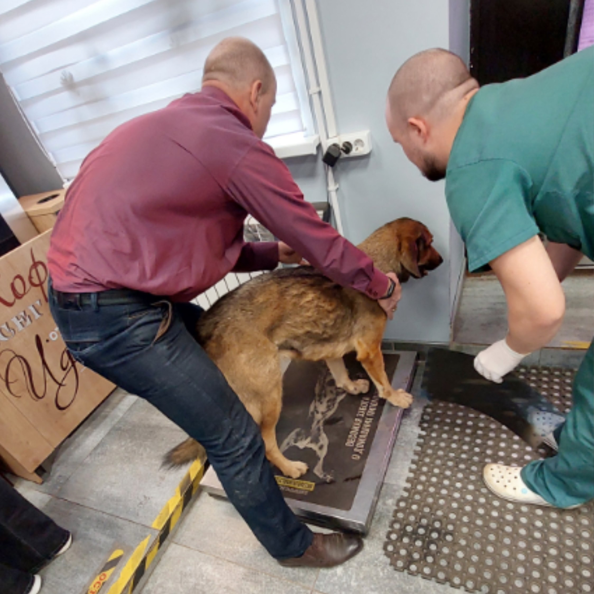 Снова шок - и у меня текут слюни и лезет шерсть