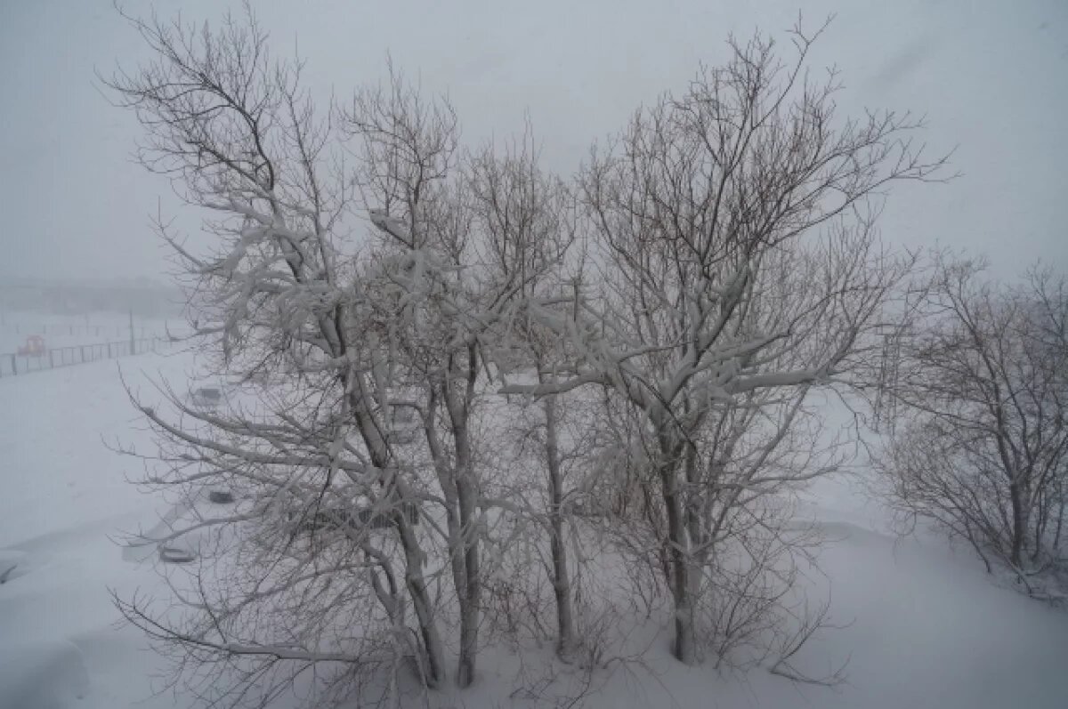    Затяжной циклон принесет на Камчатку сильный ветер и мокрый снег