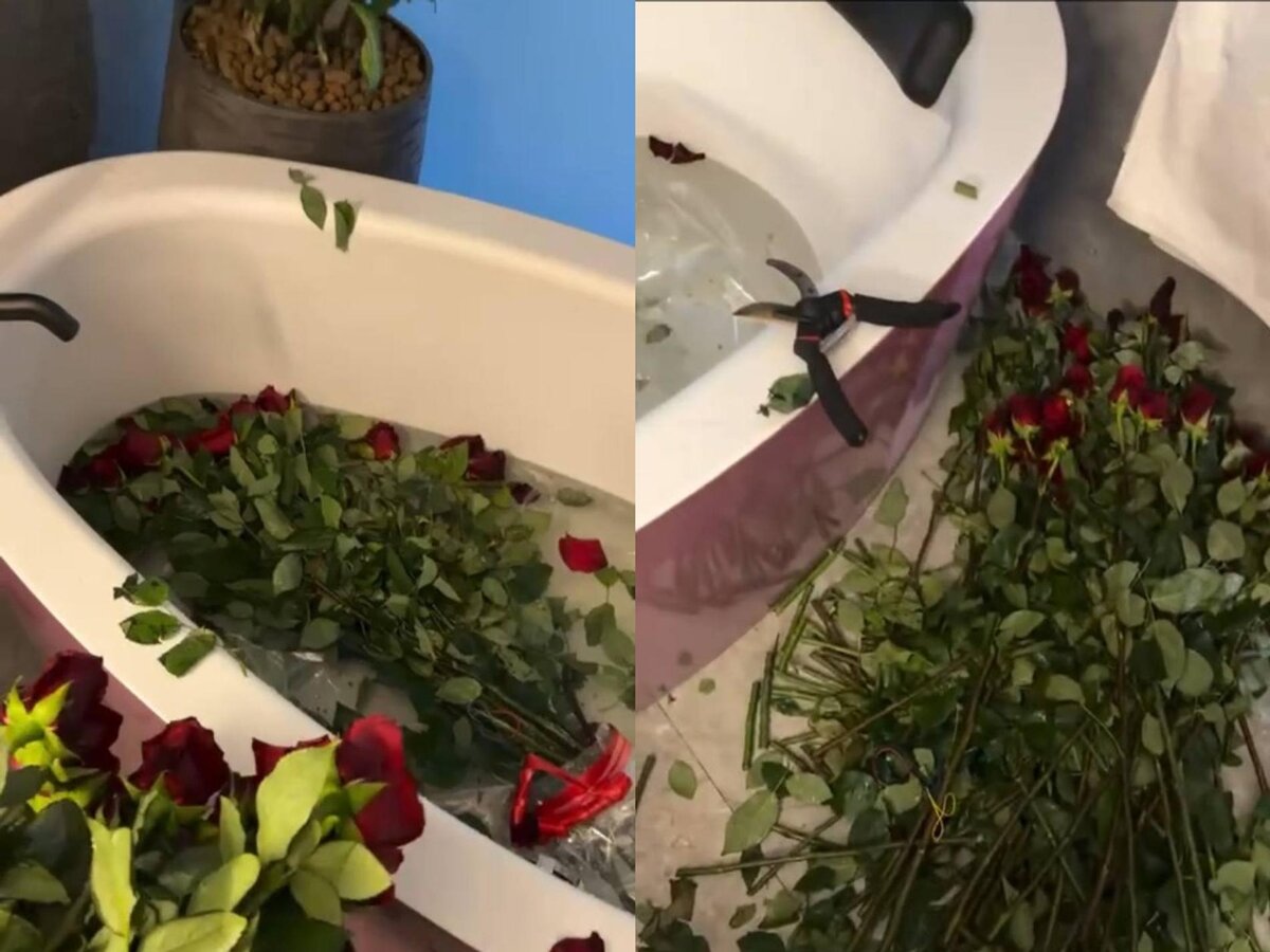    Соцсети Настасьи Самбурской