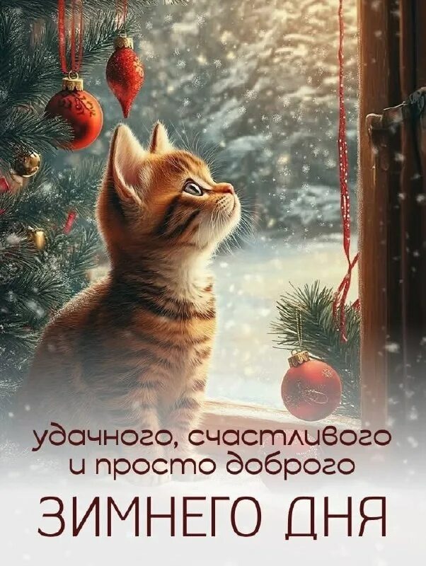 Из интернета для хорошего настроения 💖