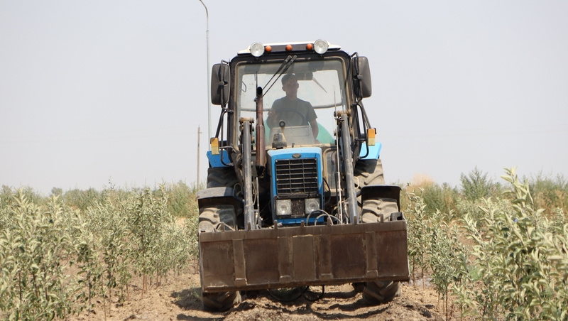      Фото: ИА «Победа26»