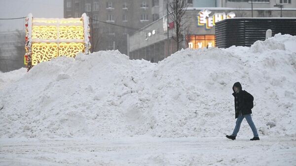    © РИА Новости . Михаил Воскресенский