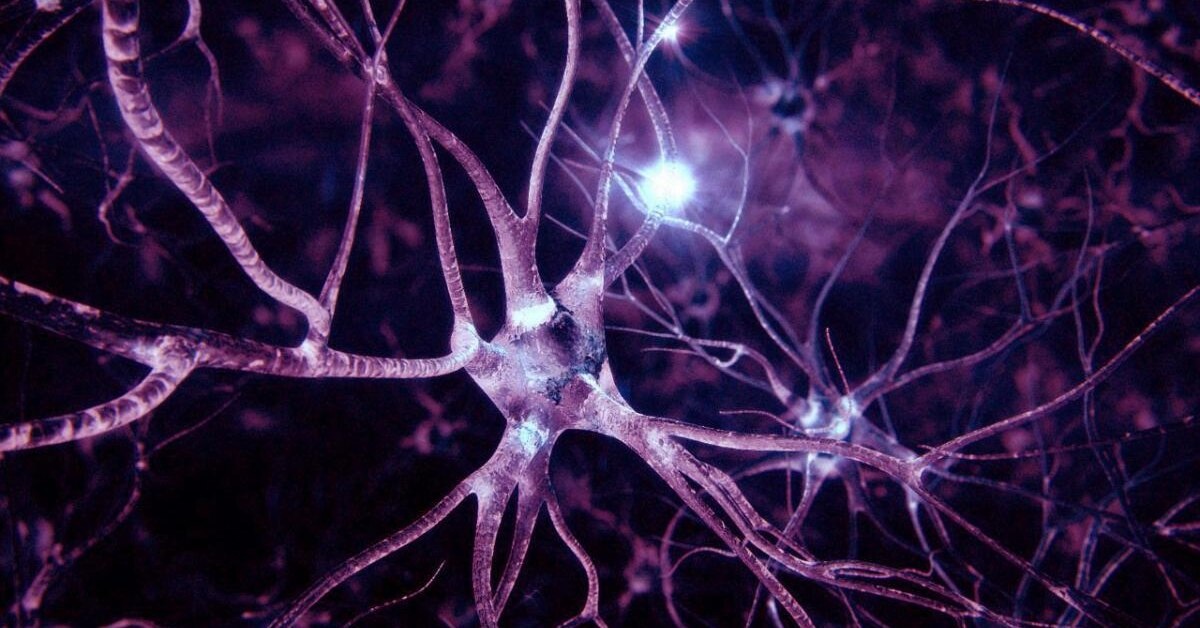 Нейрон - основная структурная и функциональная единица нервной системы