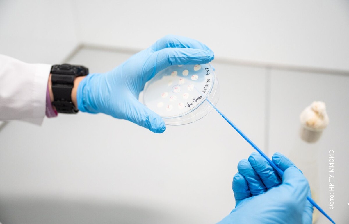    Фото НИТУ МИСИС