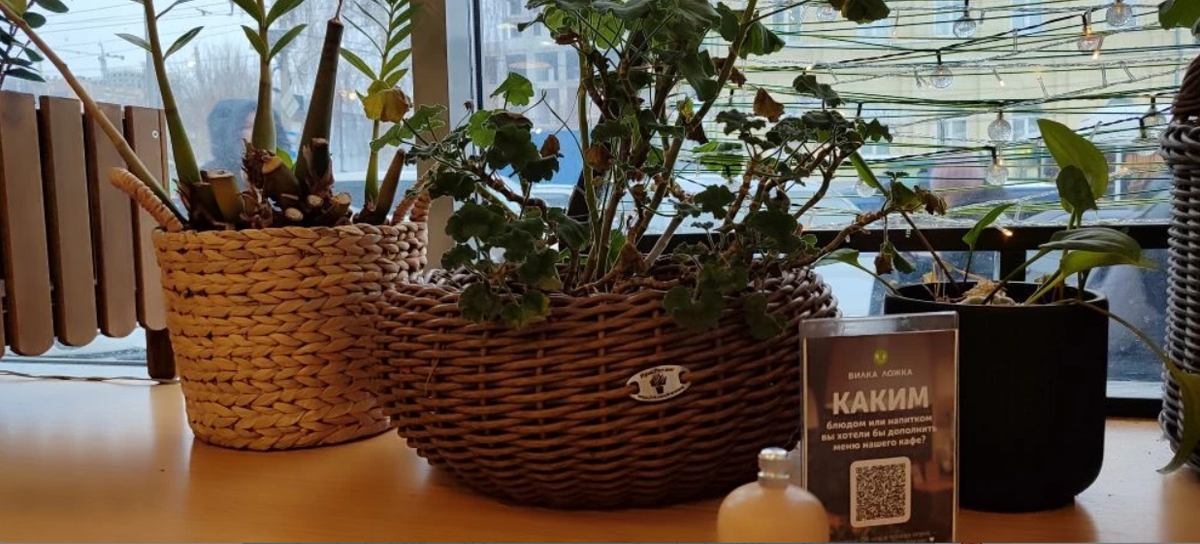 красивый декор кафе