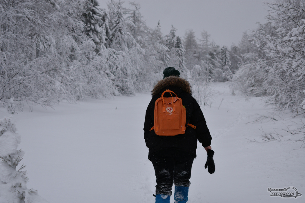    Фото Гертруда Тиунова © ИА «Уральский меридиан»
