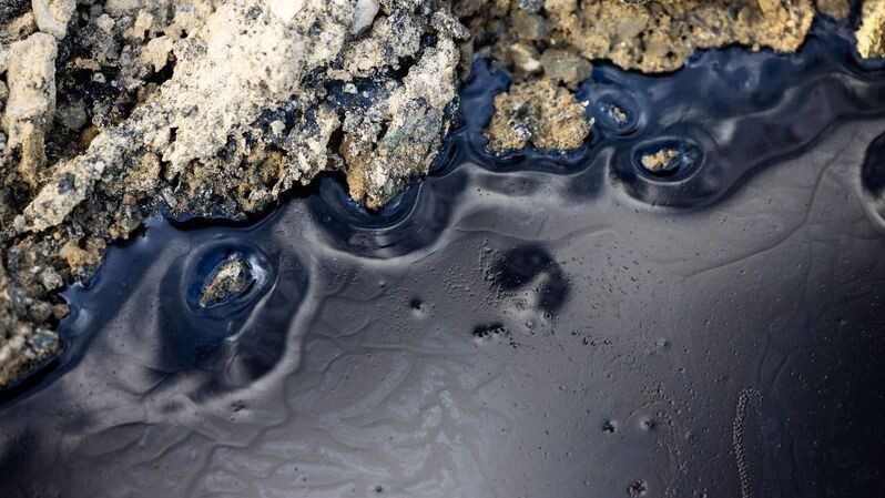    Фото: Федор Воронов/«Ямал-Медиа»