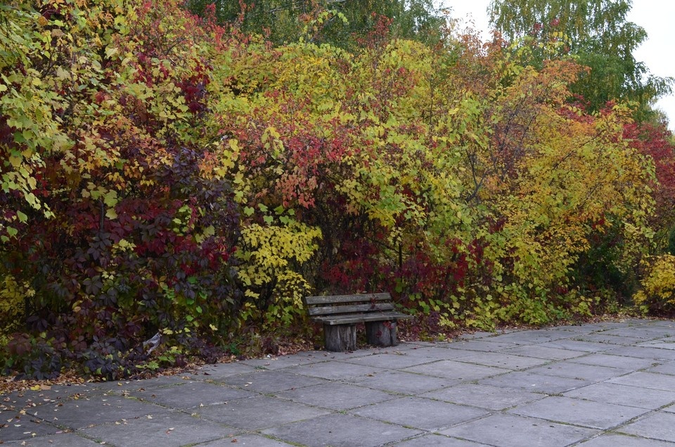    Фото: архив КП