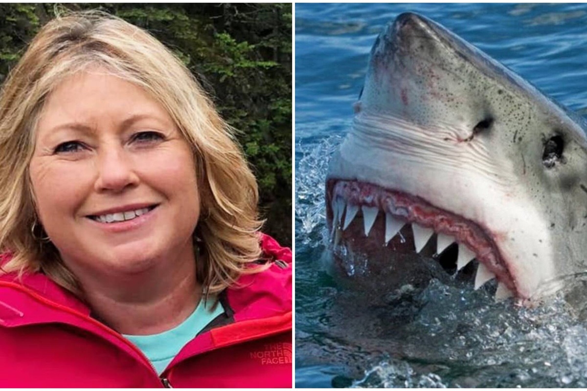     «Акула откусила руку»: 56-летняя Арлин Лиллис погибла на пляже
