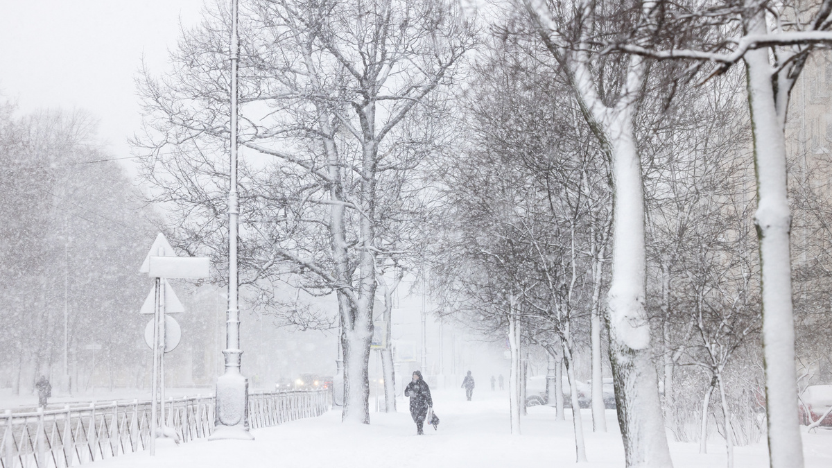 © Форпост Северо-Запад / Павел Долганов