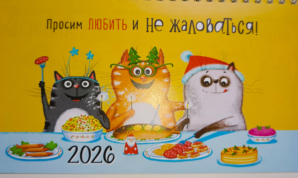 Год проведём с котиками!