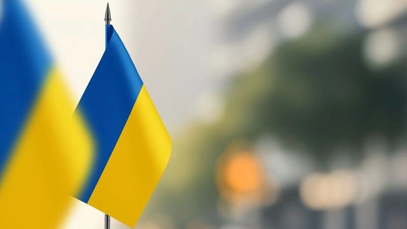    Фото: Mini Onion/Shutterstock/Fotodom