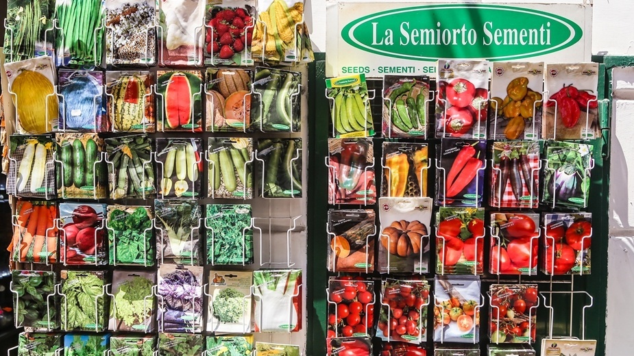 За пять лет потратил на эксперименты больше 3500 рублей