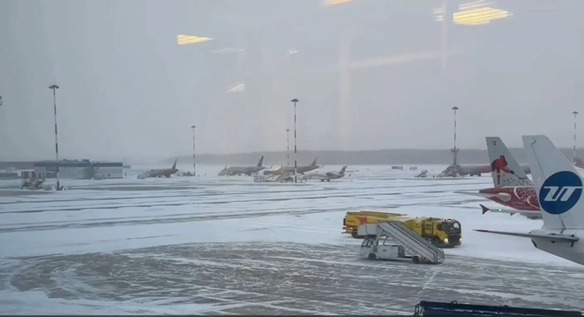   Фото: кадр видео пресс-службы Пулково