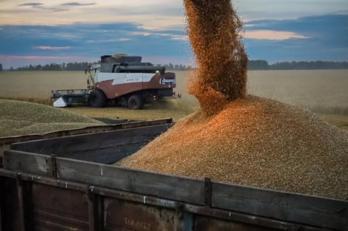    2025 год стал рекордным для сельского хозяйства Тюменской области