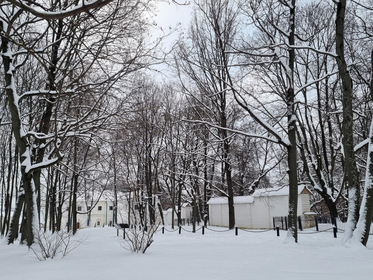 Парк Коломенское. Фото автора статьи.