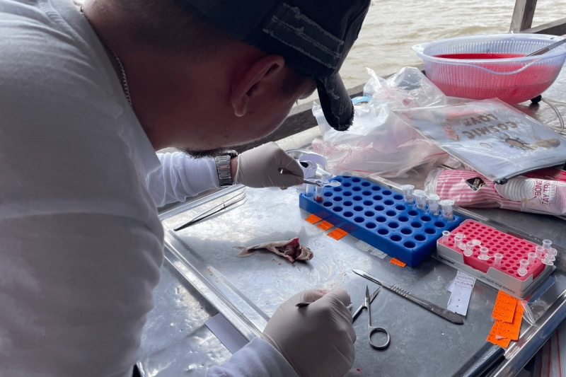    Ученые из Карелии отправились во Вьетнам изучать рыбКарельский научный центр РАН / VK