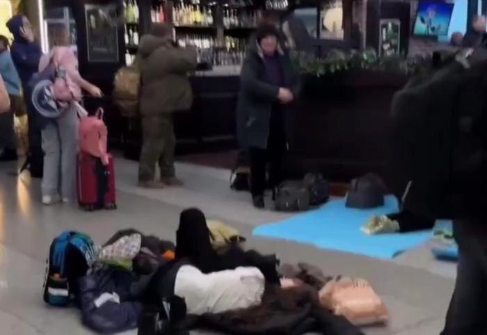 Обложка © SHOT