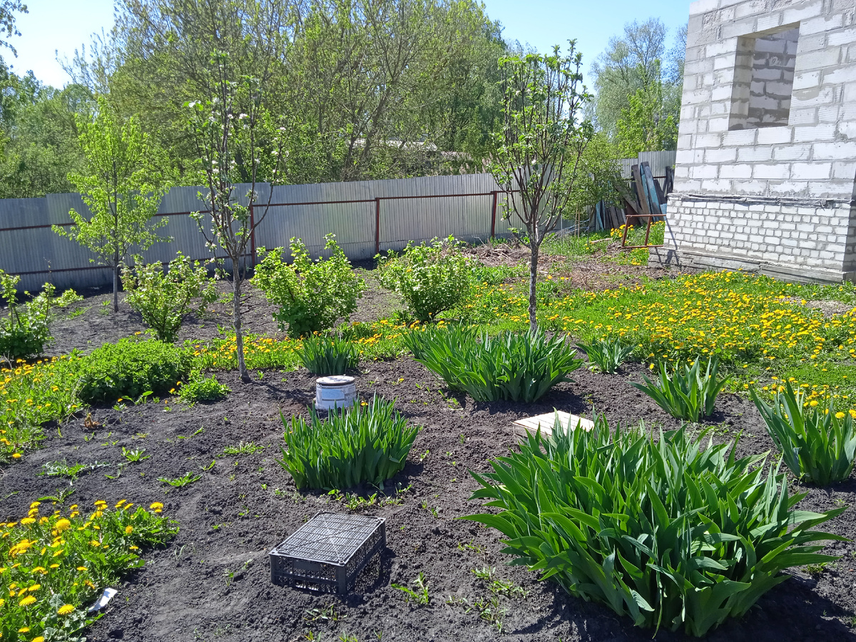 ЦВЕТОЧНИК!!!