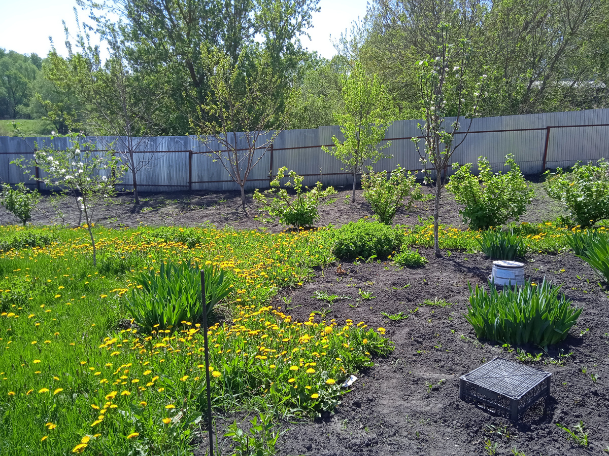 Вот такая КРАСОТА!!!