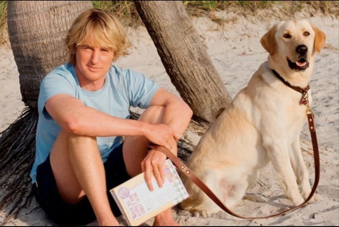 Источник: Pinterest 