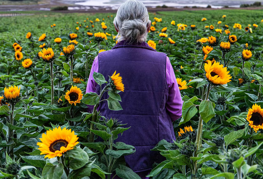 Листайте кадры.