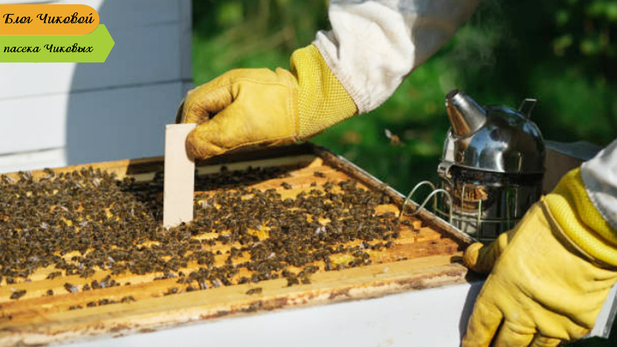 фото просто для примера