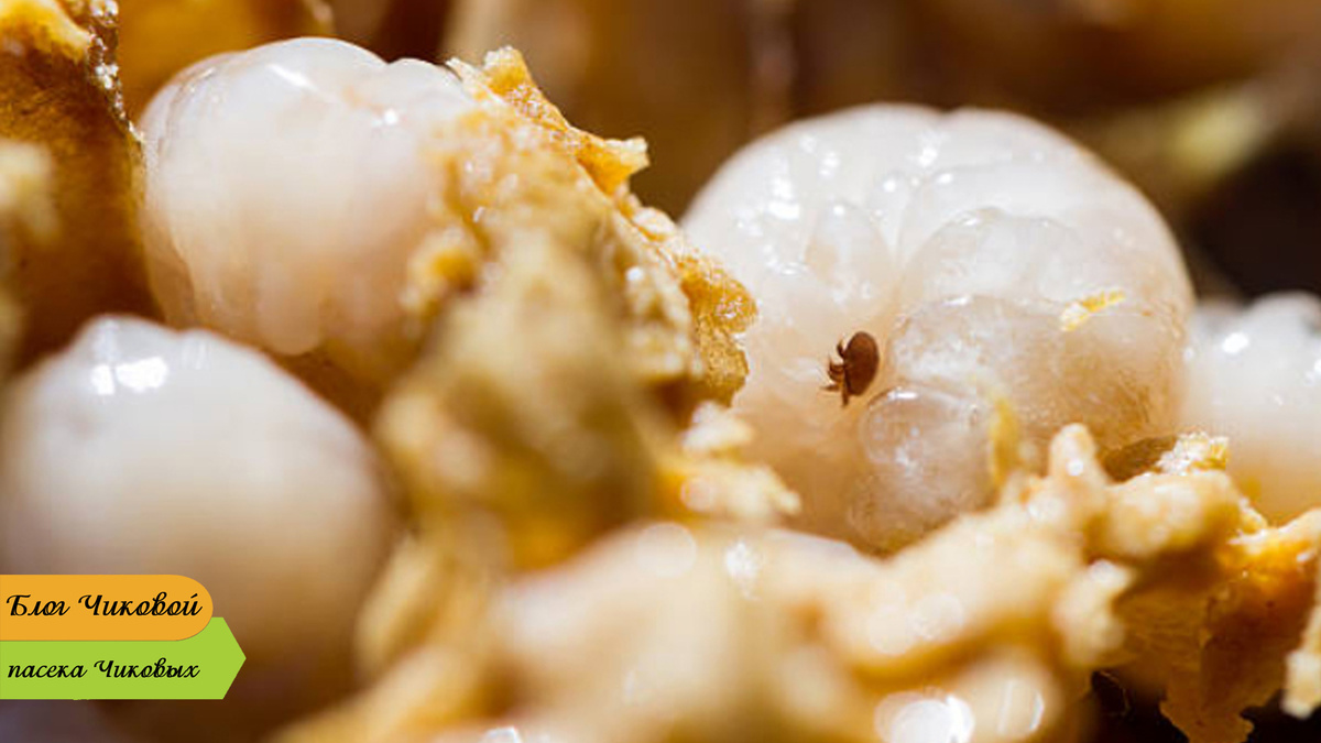 фото просто так...