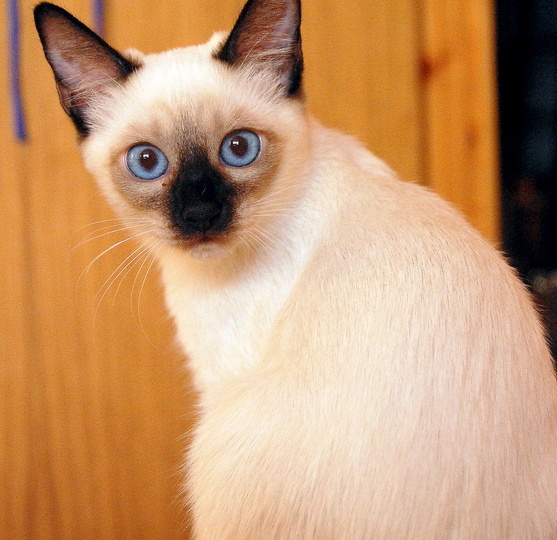 И опять ответы на комментарии