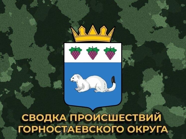     Фото: телеграм-канал «Администрация Горностаевского муниципального округа»