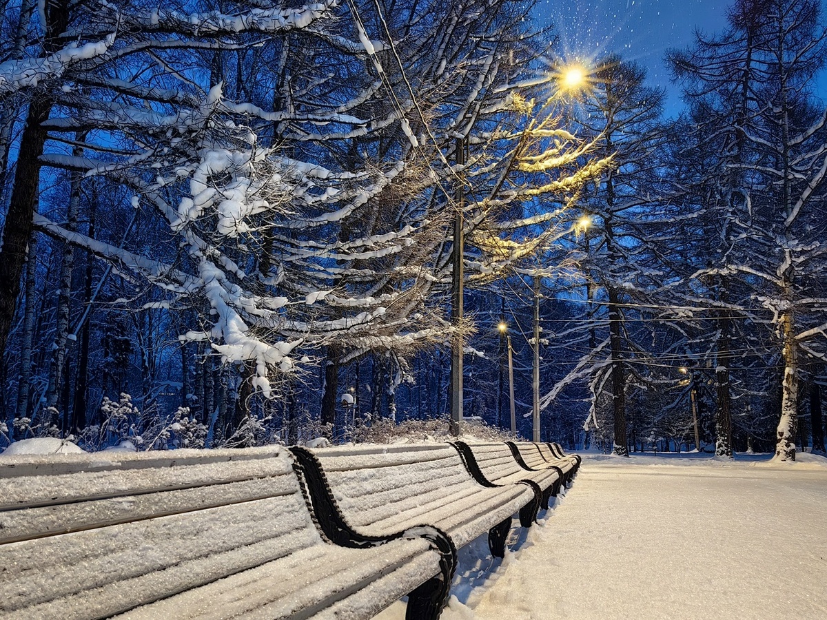 © vk.com/ Марина Савиных