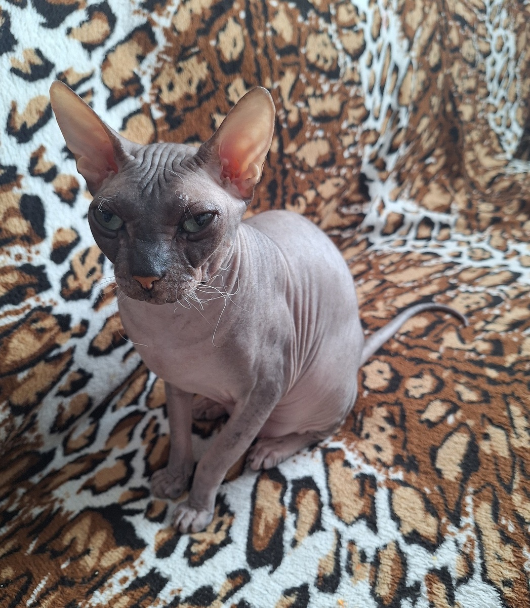 как это не туда привез? А навигатор что? китайский?