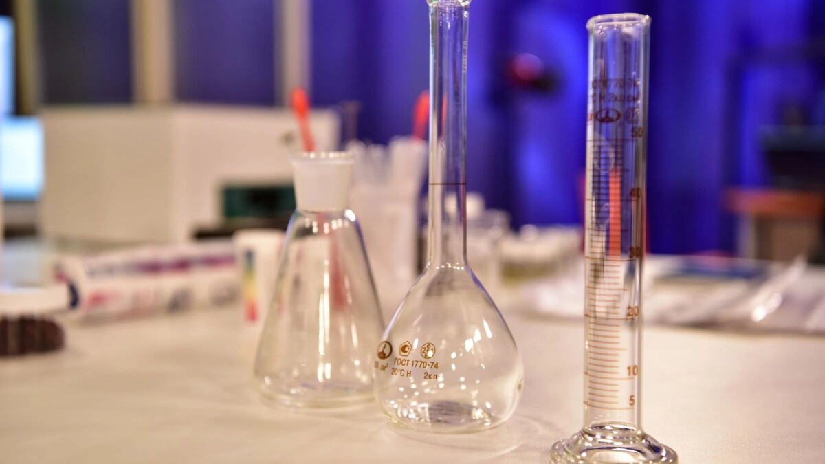    Фото: Андрей Ткачев / «Ямал-Медиа»