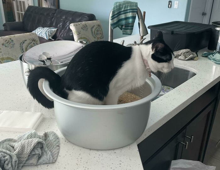 15 людей, чей день начался хуже, чем первый рабочий понедельник года