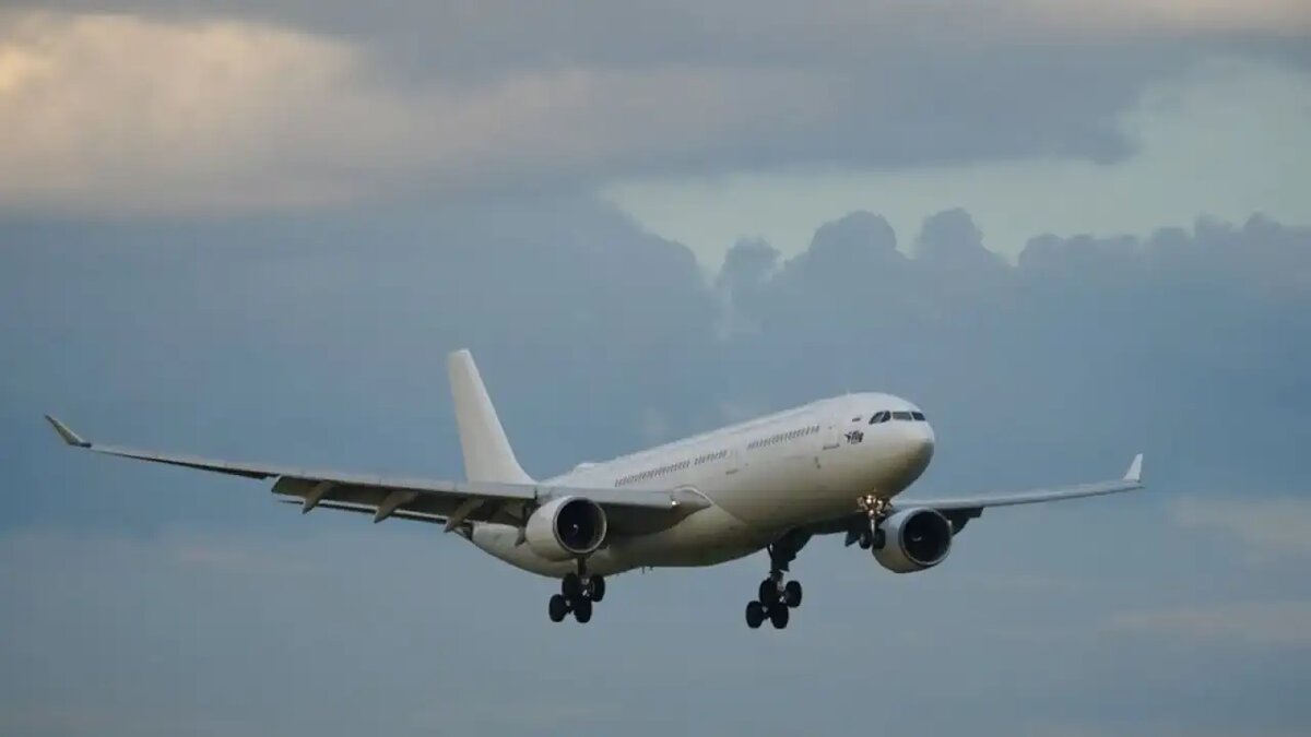     © АГН «Москва»