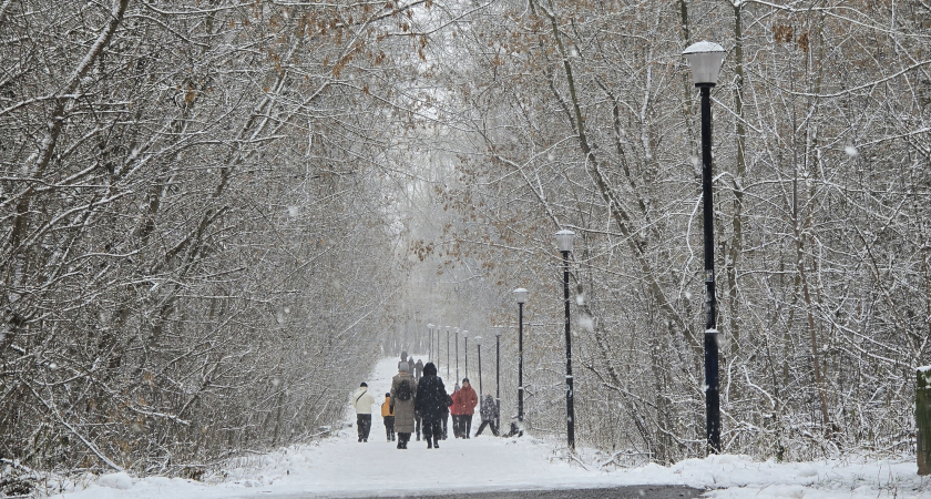    Фото: prochepetsk.ru