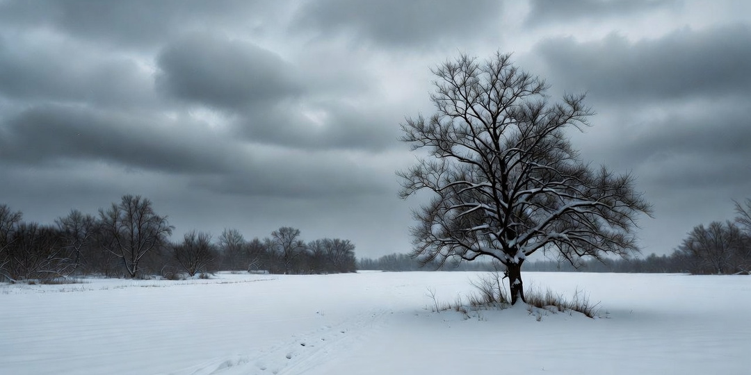 Январь — месяц памяти: почему зимой мы особенно скучаем по ушедшим близким