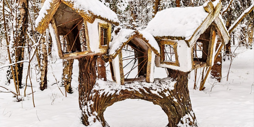 "Снегом укрыты, как одеялом