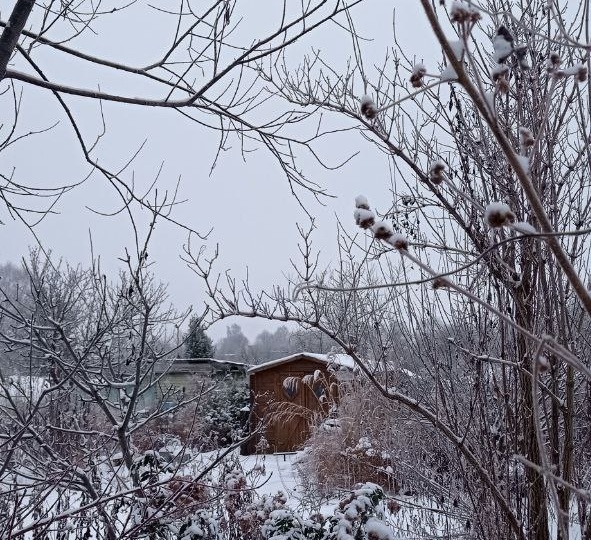 Зима в этом году пришла