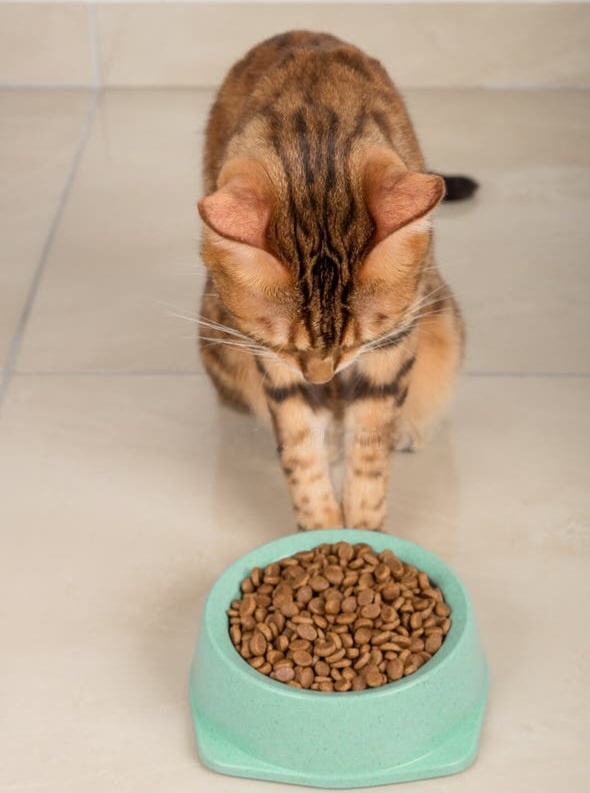 Фото из Интернета. 