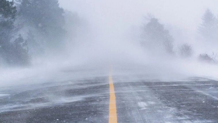    Фото: Thomas B Lee/Shutterstock/Fotodom