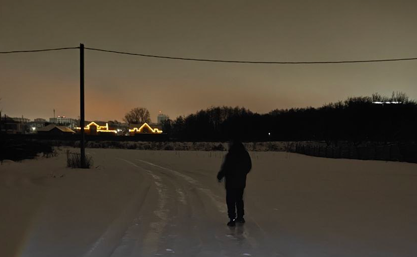     Фото: "ЛизаАлерт"