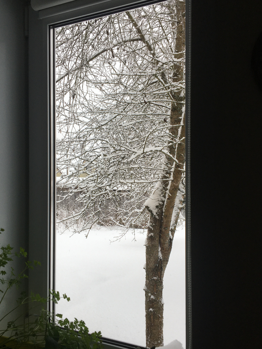 Зима за моим окошком. Фото автора